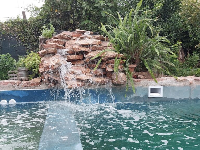 Piscina natural vs piscina tradicional: ¿cuál conviene más?